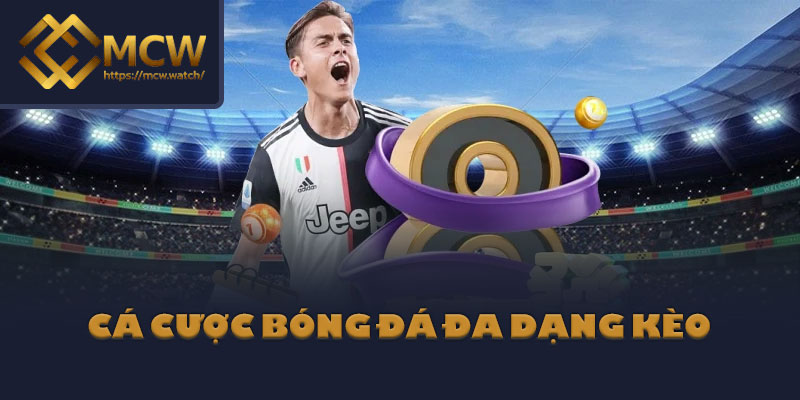 Cá cược bóng đá đa dạng kèo