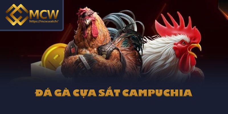 Đá Gà Cựa Sắt Campuchia