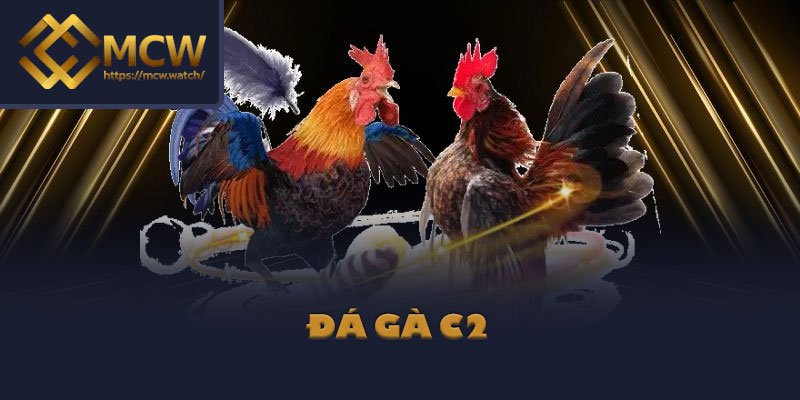 Đá gà C2