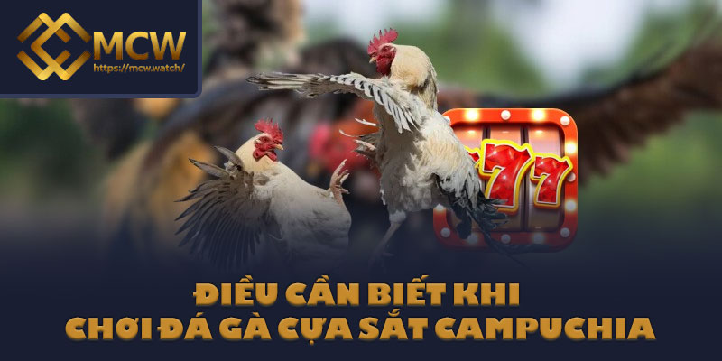 Điều cần biết khi chơi đá gà cựa sắt Campuchia