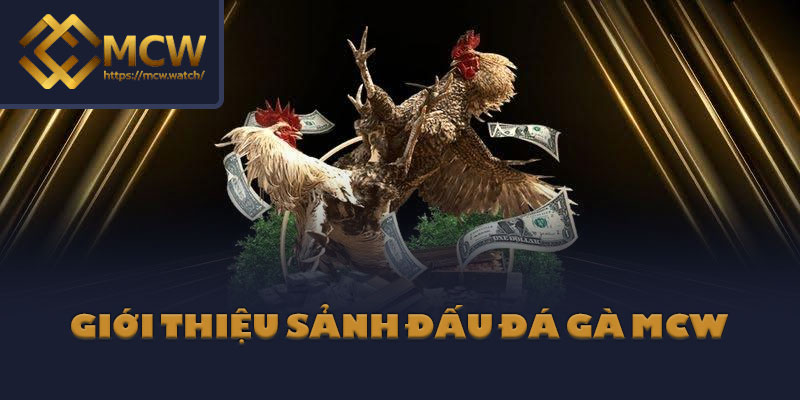 Giới thiệu sảnh đấu đá gà MCW