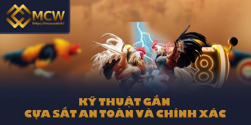 Kỹ thuật gắn cựa sắt an toàn và chính xác